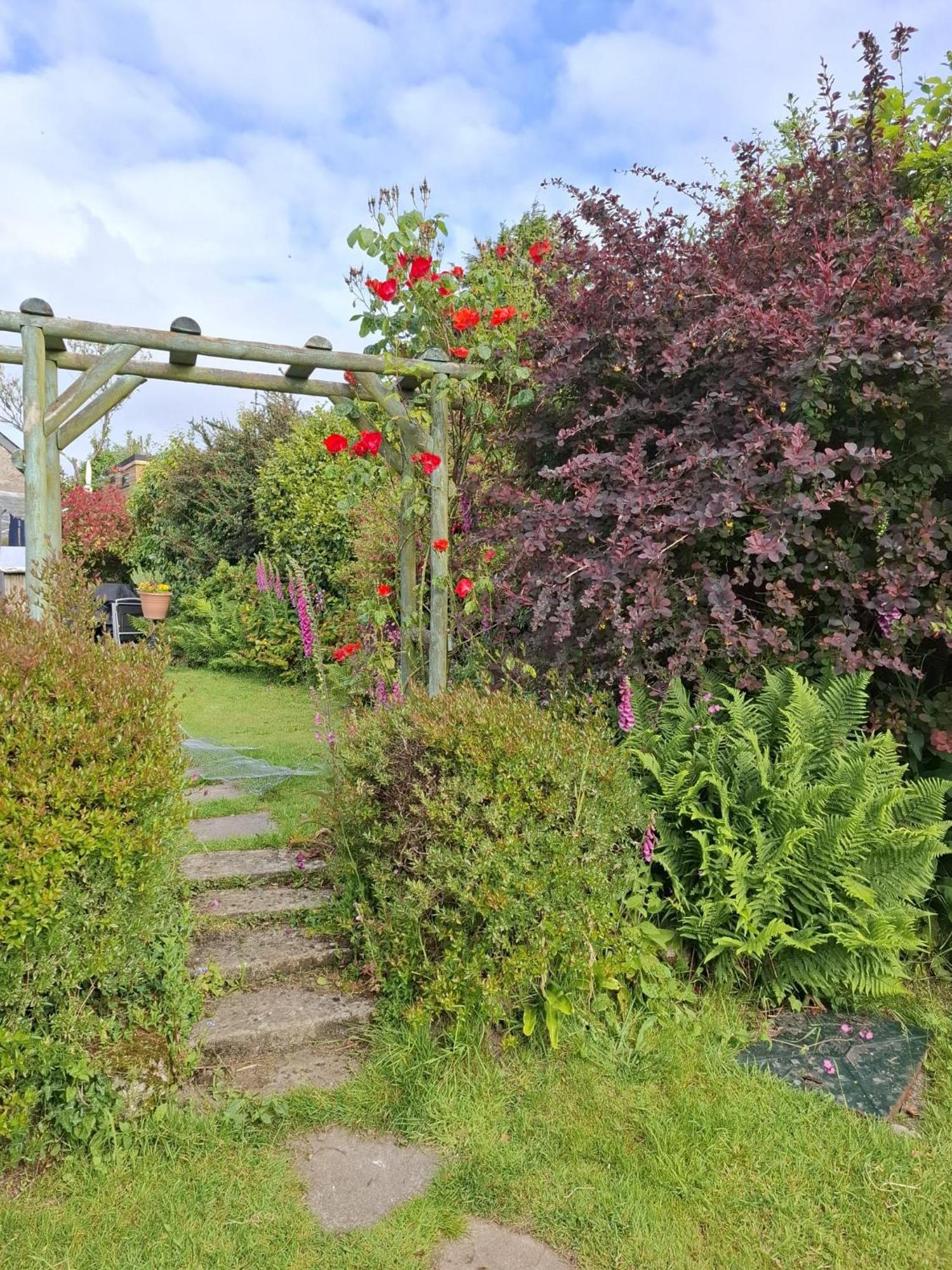 Cosy Cornish Cabin St Austell Exterior photo