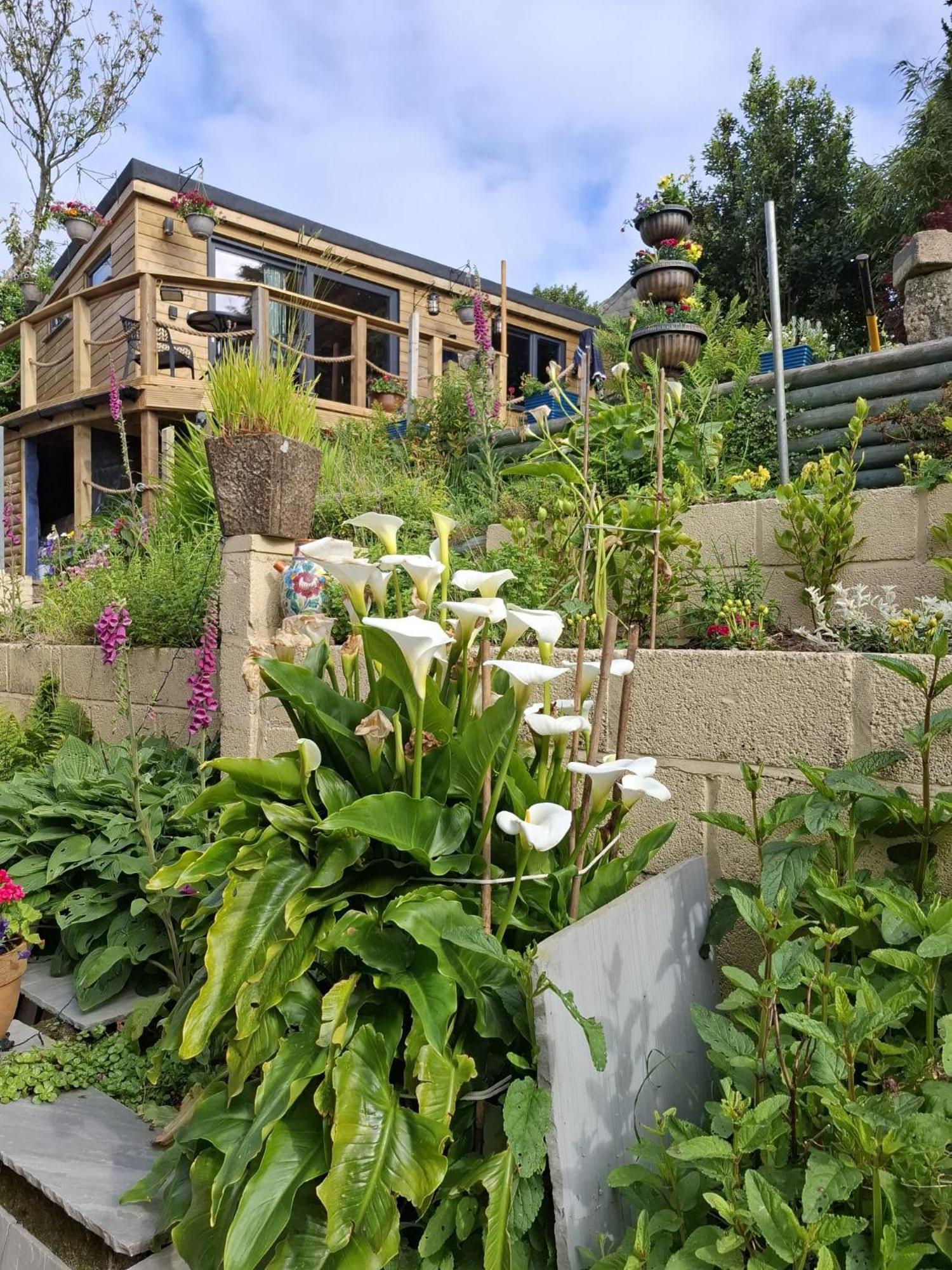 Cosy Cornish Cabin St Austell Exterior photo