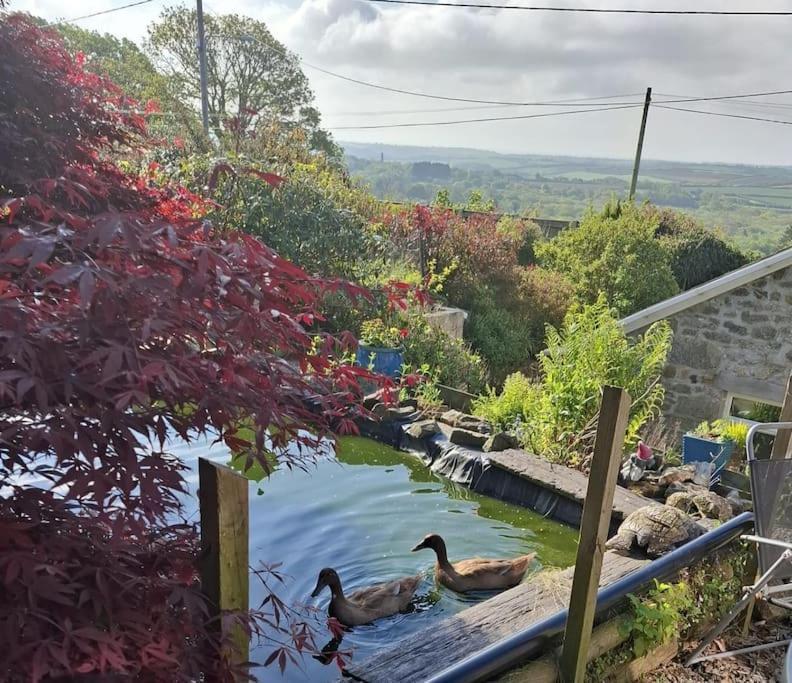 Cosy Cornish Cabin St Austell Exterior photo