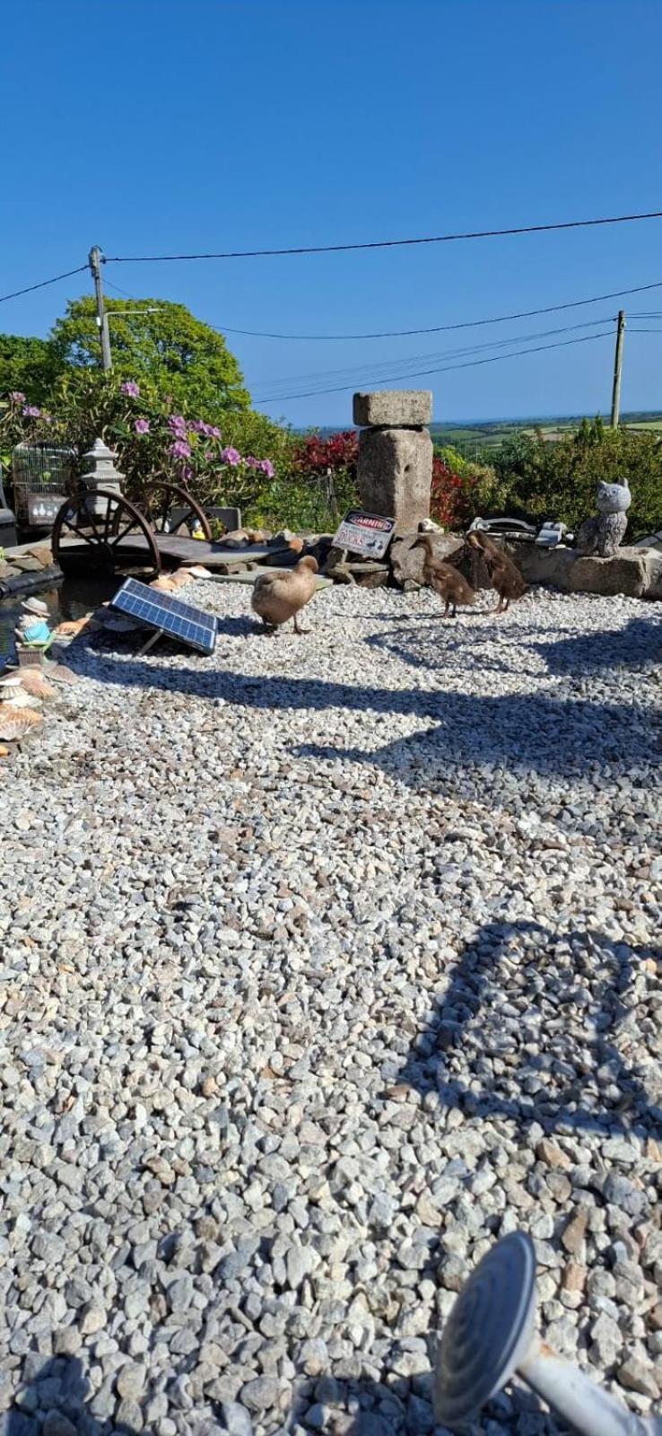 Cosy Cornish Cabin St Austell Exterior photo